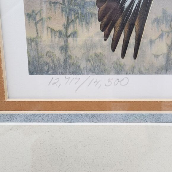 James Hautman 1990 Federal Duck Stamp Print With Stamp Whistling Tree Ducks 1989 - Picture 9 of 13